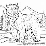 Brown Bear Coloring Pages  Free & Printable sketch template