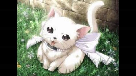 cute anime animals - YouTube