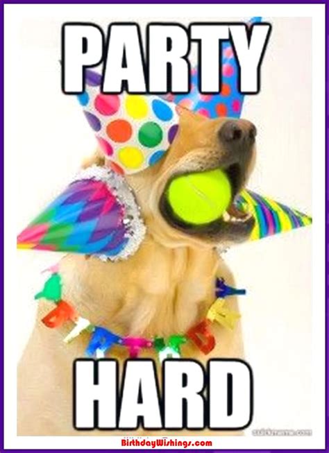 Funny Happy Birthday Memes With cats, Dogs & Funny Animals