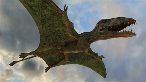 Dimorphodon flying | Animales prehistóricos, Prehistórico, Dinosaurios