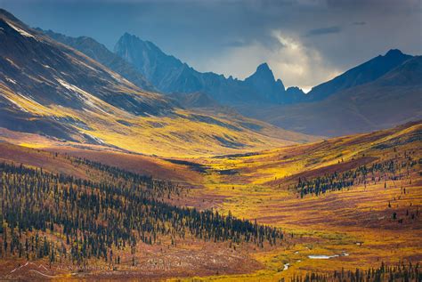 Klondike River Valley, Tombstone Territorial Park Yukon - Alan Majchrowicz