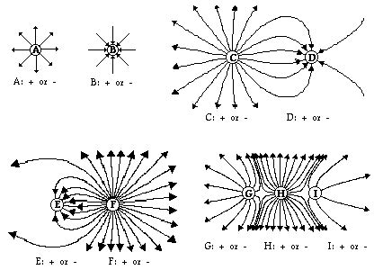 Electric Field Lines