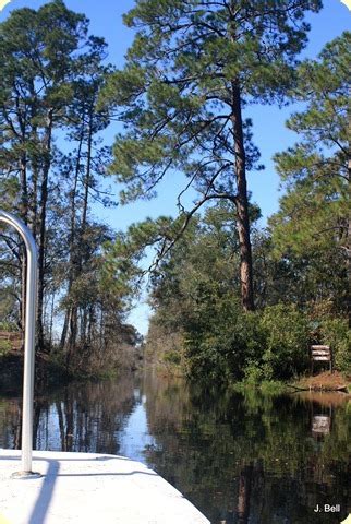 ug-uncensored: Okefenokee Swamp boat tour