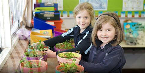 kids-plant | Goollelal Primary School