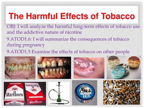 PPT - The Harmful Effects of Tobacco PowerPoint Presentation, free ...