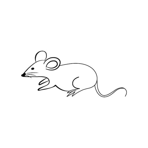 Premium Vector | Rat coloring page