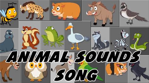 Animals Song