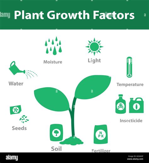 Finding Growth Factor