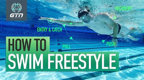 Adult Beginner to Advanced Swimmers: Freestyle In Pieces