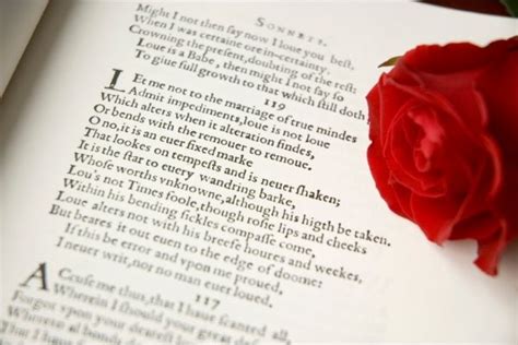 Iambic Pentameter Examples, Definition & Significance in Poems and Sonnets | Cool Kid Facts