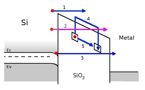 5: Diagram of MOS (Metal Oxide Semiconductor) and the main types of... | Download Scientific Diagram