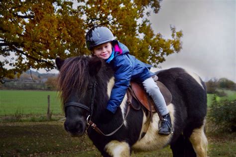 Children love their ponies at Shetland Pony Club - Shetland Pony Club