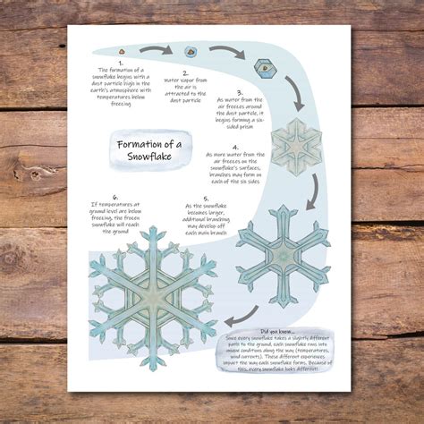 Snowflake Formation Poster: How Snowflakes Form, Science Poster ...