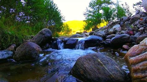 Relaxing River - Nature Video - Water Stream & Birdsong Sounds - Sleep ...