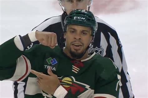 Watch: Ryan Reaves rocks Ross Johnson in fight, scores tying goal for ...