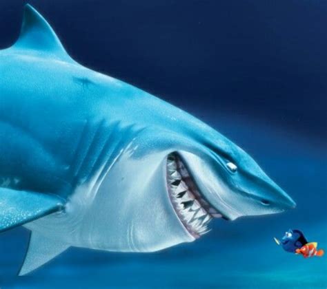 The great white shark - Bruce | Nemo, Baby disney, Dory and marlin