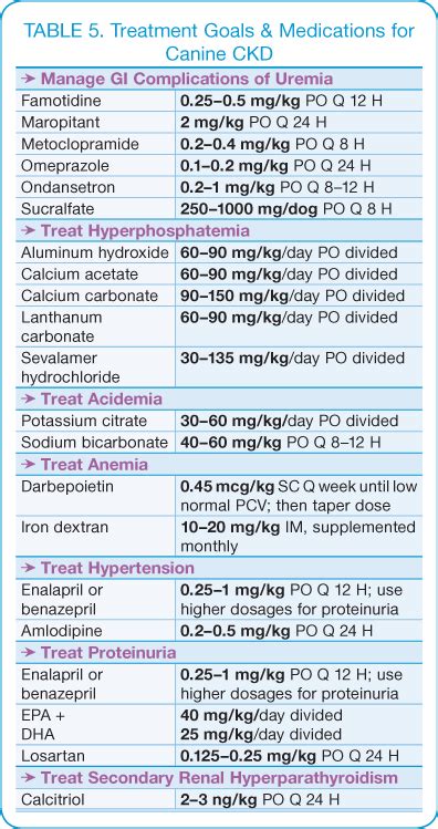 Canine Chronic Kidney Disease | Diagnostics & Goals for Long-Term Management