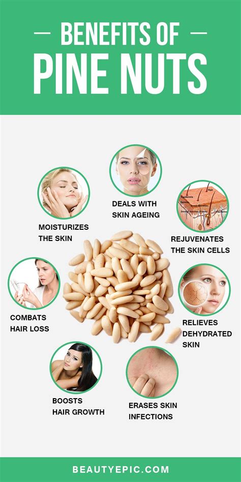 9 Amazing Health Benefits of Pine Nuts (Chilgoza) | Nuts health ...