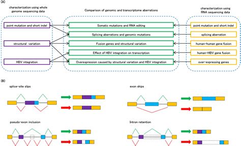 Figure 1 from Integrated Analysis of Whole Genome and Transcriptome Sequencing Reveals Diverse ...