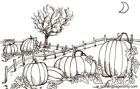 Printable Pumpkin Patch Coloring Page - Free Printable Coloring Pages