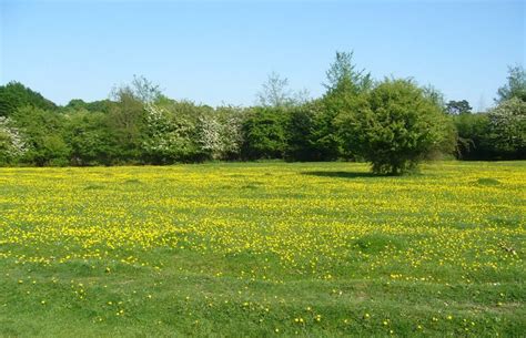 Hatfield Forest - Alchetron, The Free Social Encyclopedia