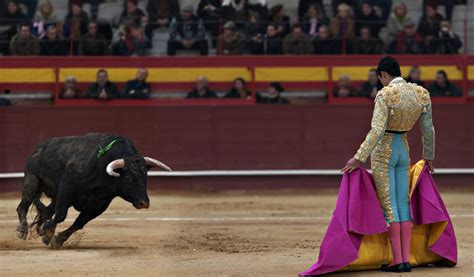 What I learned about my Catholic faith from watching a bullfight | America Magazine