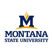 University of Montana Logo (UM) - PNG Logo Vector Brand Downloads (SVG ...