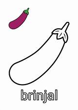 Eggplant Vegetable Brinjal Wecoloringpage Freecoloring Clipartmag  sketch template