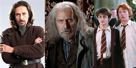 Harry Potter: Side Character Deaths That Only True Fans Would Remember