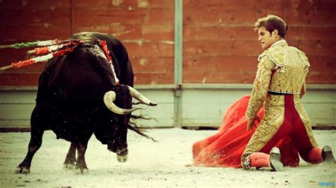 Bull Fighting HD desktop wallpaper : Widescreen : High Definition ...