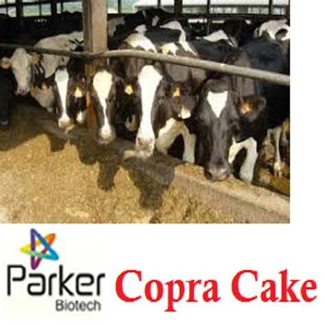 Prices Of Copra Meal / Copra Cake - Buy Original Parker Brand Copra ...