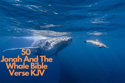 50 Jonah And The Whale Bible Verse KJV – Bible Verses of the day