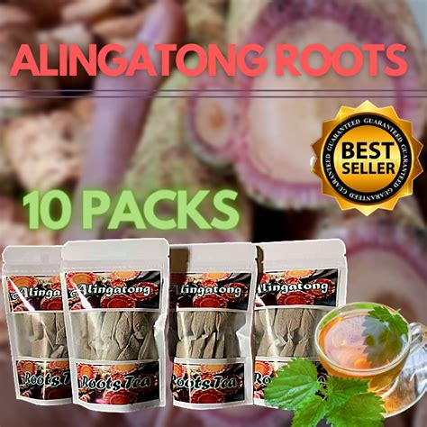 10 PACKS ALINGATONG (ALINGA) AMAZING HEALTH BENEFITS - Reduce kidney ...