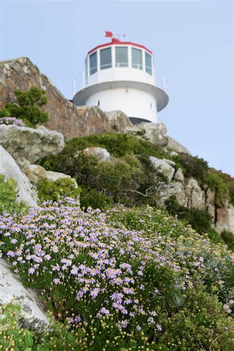 Cape Of Good Hope Lighthouse Stock Photo - Image of hope, lighthouse ...