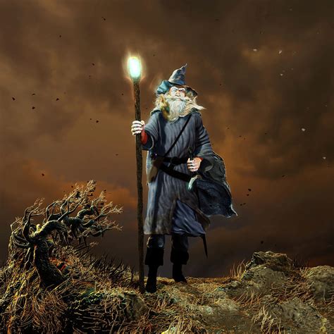 Wizard Composition 1 Digital Art by David Luebbert - Fine Art America