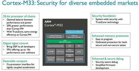 Extend the ARM Cortex-M33 with a custom co-processor - Architectures ...