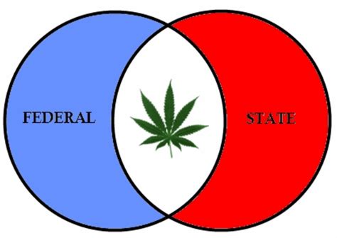 6 Reasons Why Cannabis Should Be Legalized Federally