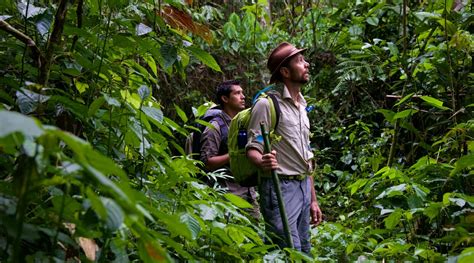 AMAZON RAINFOREST TOURS BY ANDEAN GREAT TREKS | AMAZON RAINFOREST TOURS ...