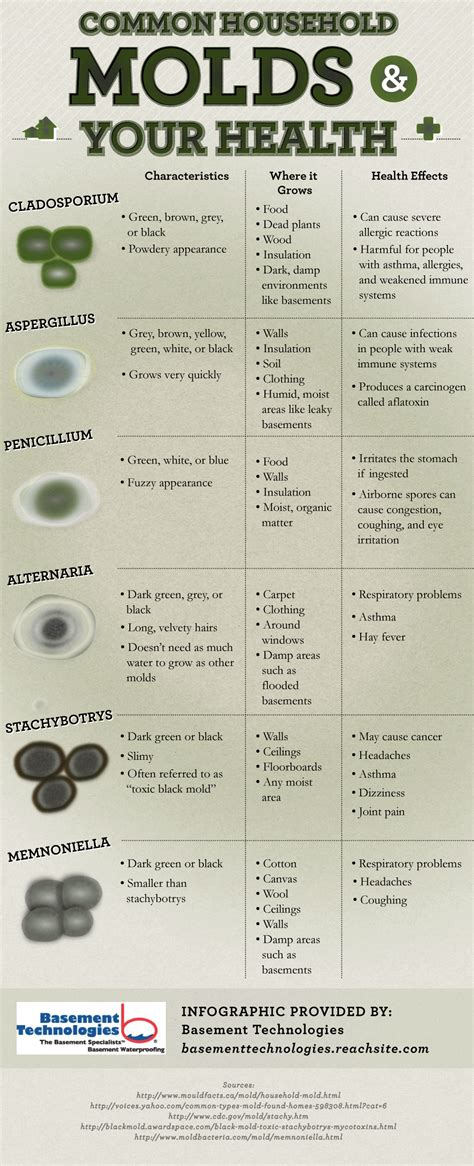 Common Household Molds and Your Health [INFOGRAPHIC] | Infographic health, Health tips, Mold remover