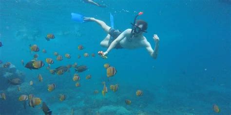 Bali Nusa Penida Snorkeling Only | Snorkeling at Manta Bay, Gamat Bay ...