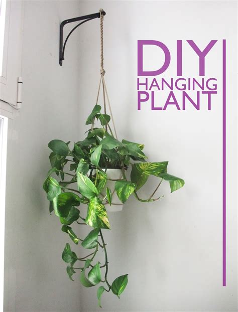 I Came To Dance: DIY Hanging Plant Holder