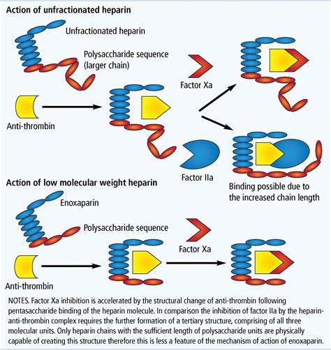 Enoxaparin - MacDonald - 2016 - Practical Diabetes - Wiley Online Library