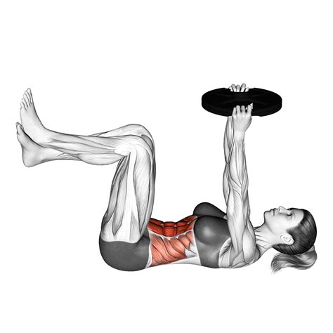 Weighted Knee Crunches: Muscles Worked and More - Inspire US