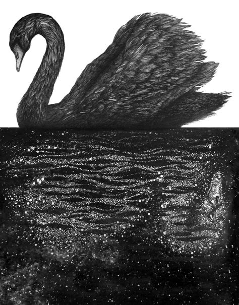 Black Swan Wall Art | Prints, Framed Prints And Multi Panel Art