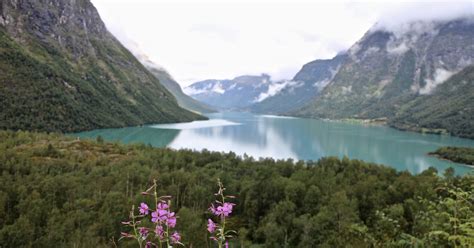 Highlights of our Western Fjords Tour of Norway | 50 Degrees North