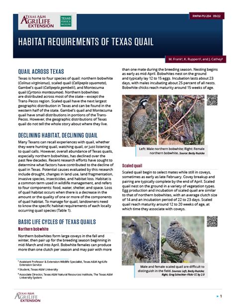 Habitat Requirements of Texas Quail