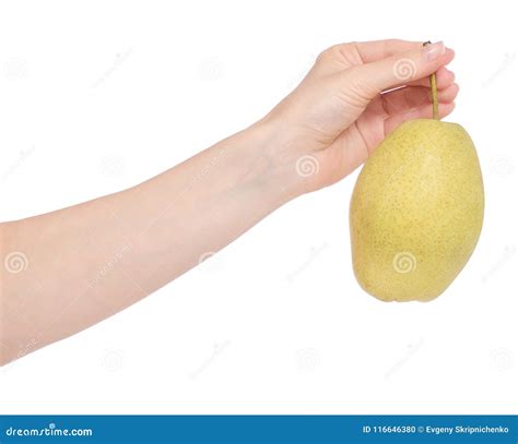 Fruit Hybrid Apple Pear in Hand Stock Photo - Image of food, crop: 116646380
