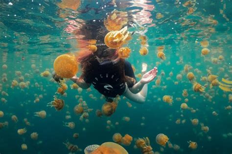 Jellyfish sanctuary and Sohoton cove Full-Day Tour 2024 - Siargao Island