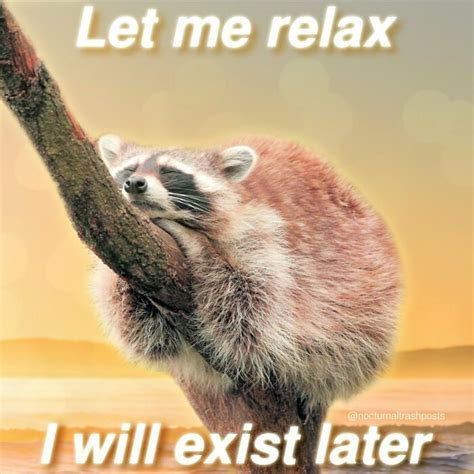 “Nocturnal Trash Posts”: 30 Of The Best Raccoon Memes This Dedicated ...