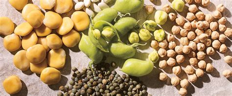 5 Different Types of Legumes | RICARDO